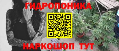 ПСИЛОЦИБИНОВЫЕ ГРИБЫ Севастополь