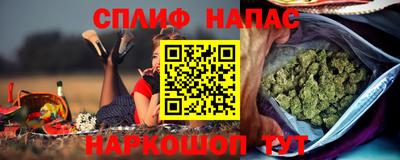 PSILOCYBIN Северобайкальск