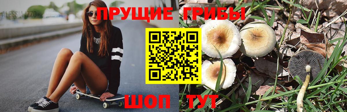 Псилоцибиновые грибы мицелий  Галлюциногенные грибы Psilocybe  Вход с VPN  Саров 